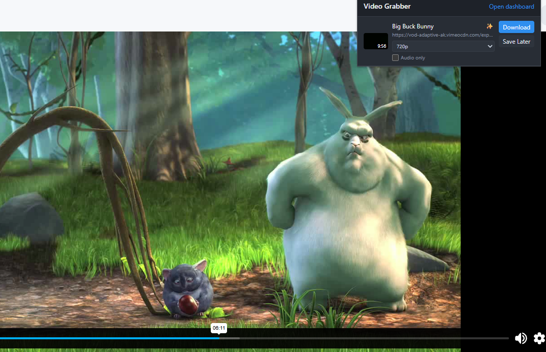 Video Grabber detecting a video and offering a resolution picker to download